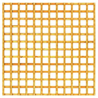 6 X 6 Trellis
